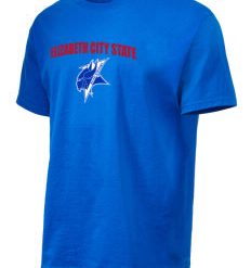 NCAA ECSU Vikings Unisex T-Shirt V2