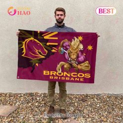 Alternative view of NRL Brisbane Broncos Custom Name Mascot House Flag V2